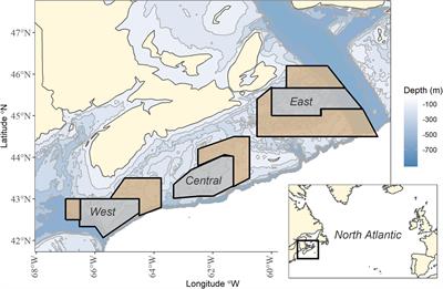 Challenges of Gauging the Impact of Area-Based Fishery Closures and OECMs: A Case Study Using Long-Standing Canadian Groundfish Closures